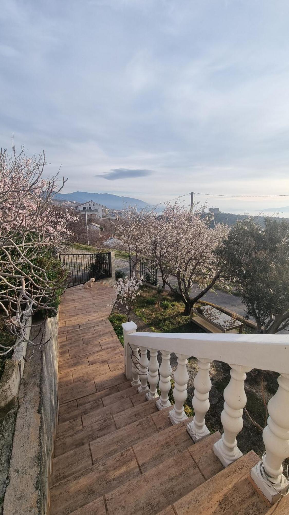 Apartman Pogled Na More Сень Екстер'єр фото